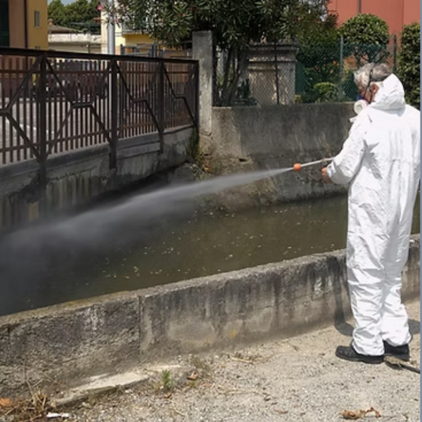 servizio di disinfestazione a Roma